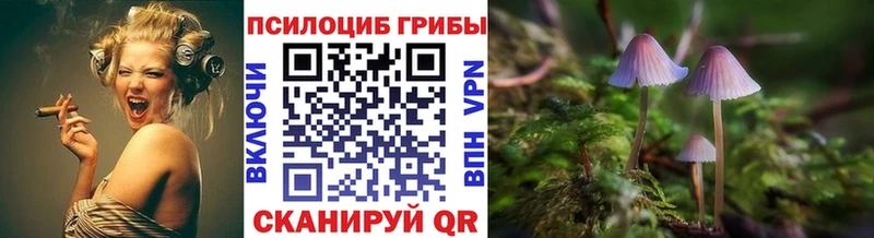 даркнет сайт  Ардон  Галлюциногенные грибы прущие грибы 